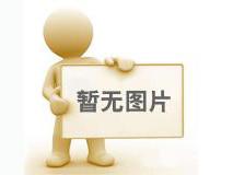 【回首·展望】砥礪2024，闊步2025，特萊得一直在路上！